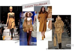 Colore tendenza 2011: cammello